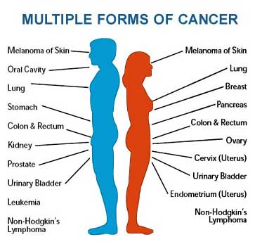 Forms Of Cancer