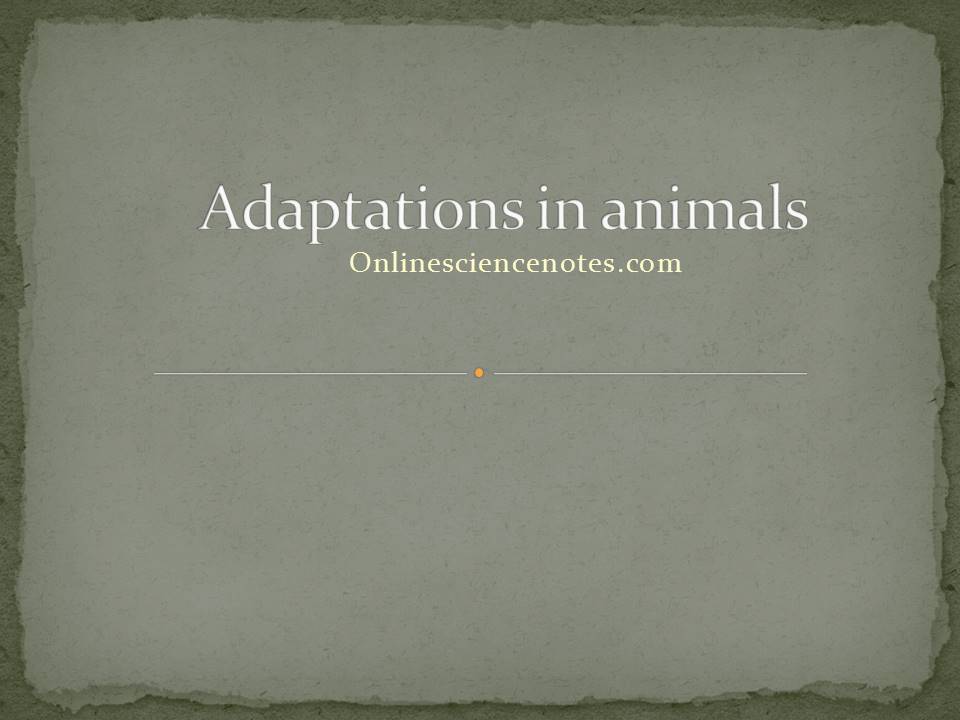 Adaptation in animals - Online Science Notes
