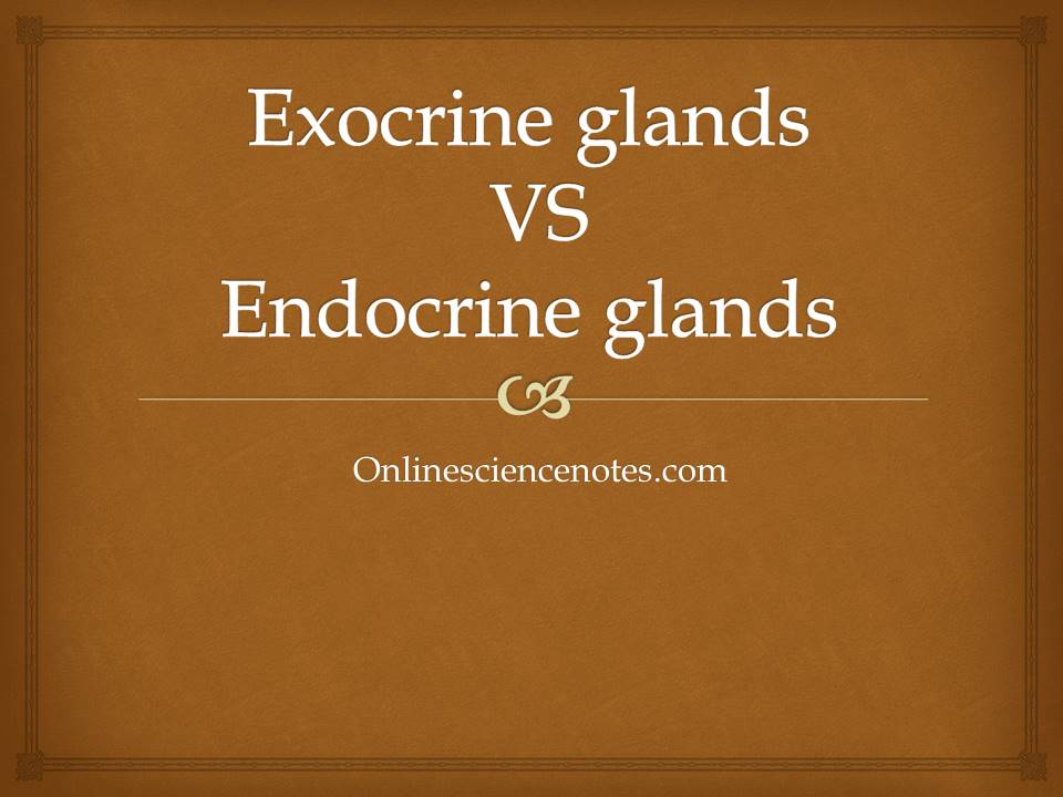 Differences Between Exocrine And Endocrine Glands Online Science Notes