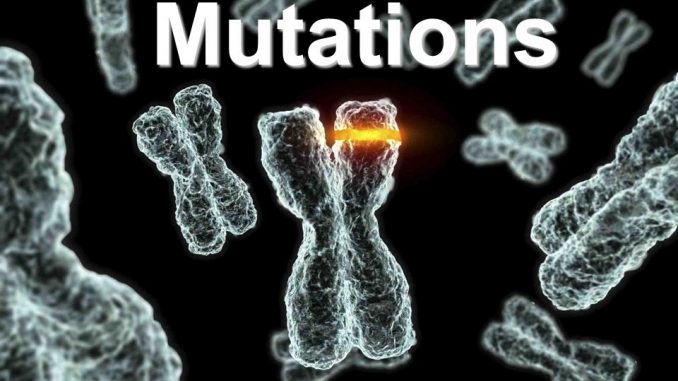 Mutation and its types - Online Science Notes