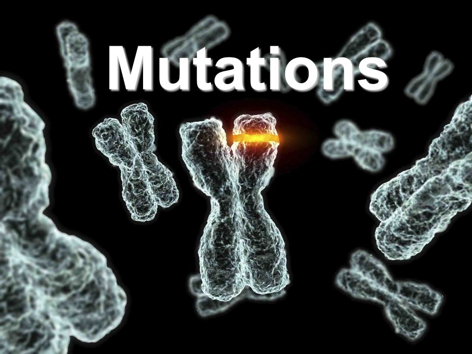 mutation-meaning