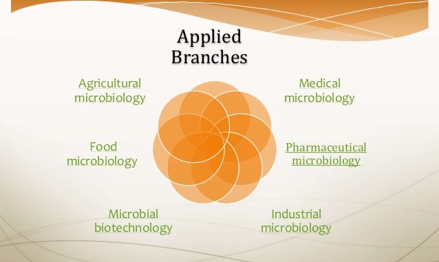 applied-areas-of-microbiology-online-science-notes