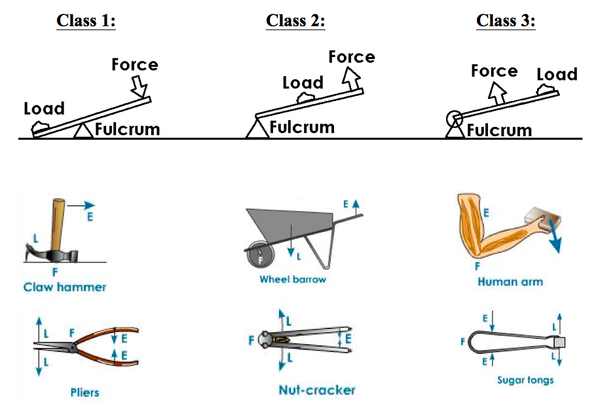 Three Types Of Lever