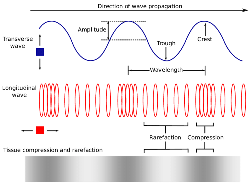 Wave, its types and characteristics Online Science Notes