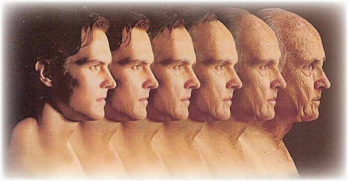 Ageing, its causes and effects on our body - Online Science Notes