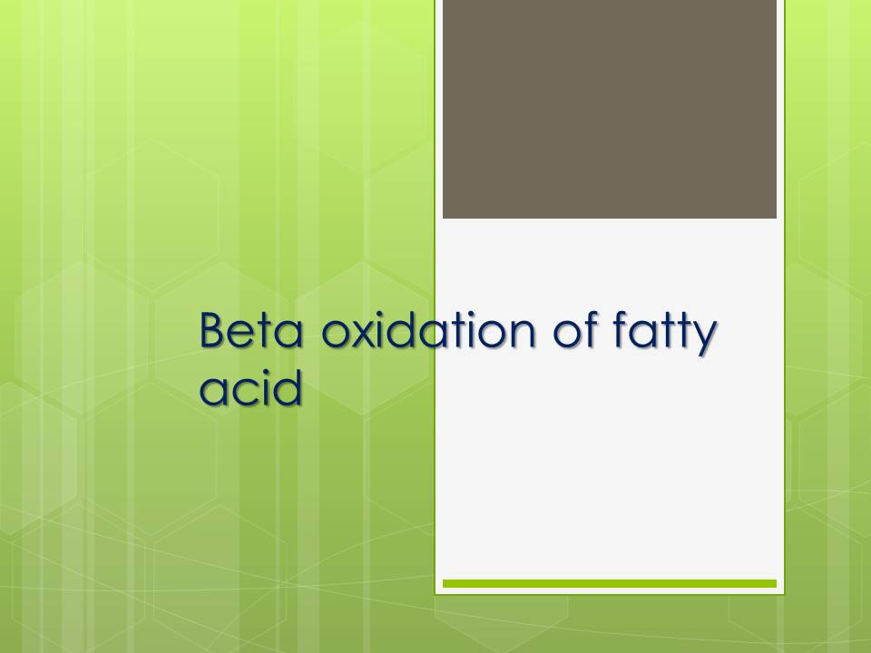 Beta Oxidation Of Fatty Acid Online Science Notes