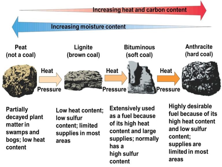 Coal (Formation, Types And Importance) - Online Science Notes